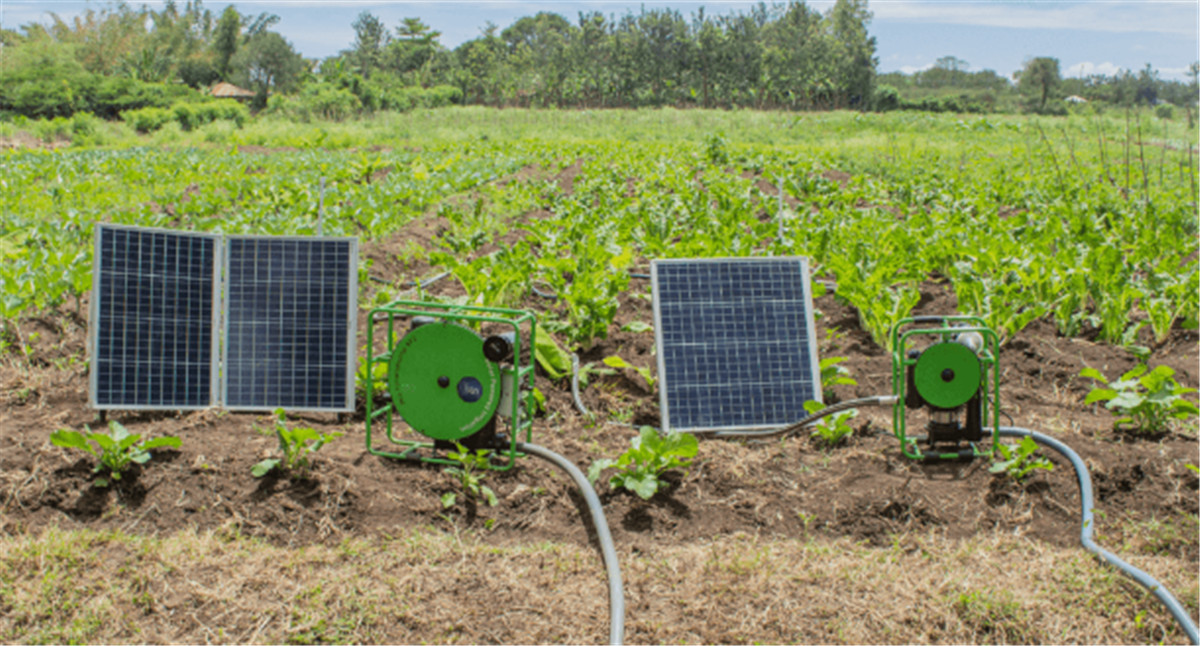 How to select the right solar water pump for automatic irrigation system01 (2)